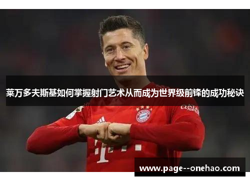 莱万多夫斯基如何掌握射门艺术从而成为世界级前锋的成功秘诀 莱万多夫斯基如何掌握射门艺术从而成为世界级前锋的成功秘诀