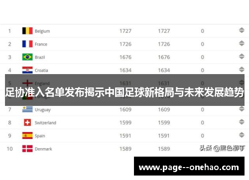 足协准入名单发布揭示中国足球新格局与未来发展趋势