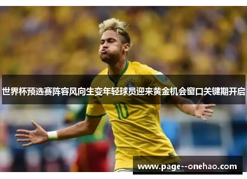 世界杯预选赛阵容风向生变年轻球员迎来黄金机会窗口关键期开启