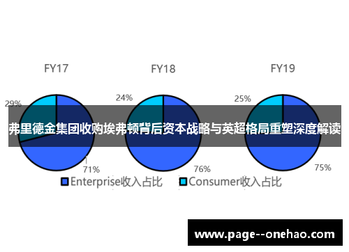 弗里德金集团收购埃弗顿背后资本战略与英超格局重塑深度解读